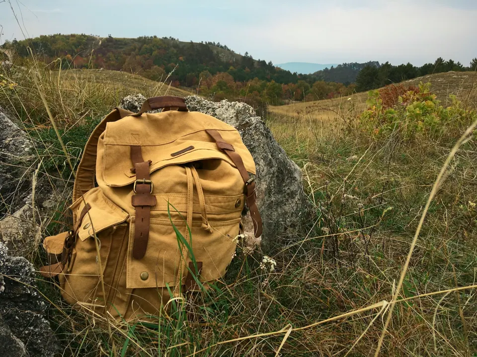 Brown backpack on green grass