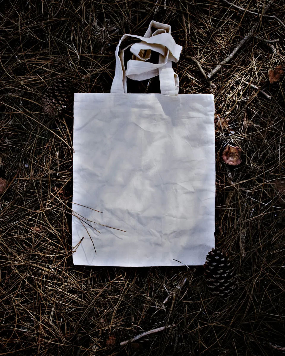 White paper bag on brown grass