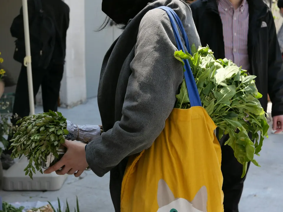 Person carrying a bag with plants